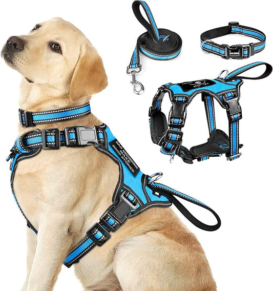 WINSEE Pet Harness Collar and Leash Set, All-in-one Reflective Dog Harness No Pull with Adjustable Buckles for Puppies, Small, Medium, Large, and Extra-Large Dogs (Large, Blue) - PAWPICO