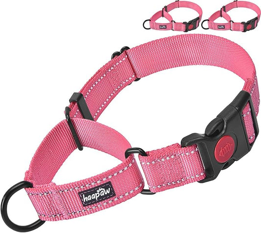 haapaw 2 Packs Martingale Dog Collar with Quick Release Buckle Reflective Dog Training Collars for Small Medium Large Dogs haapaw