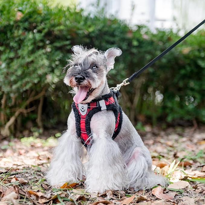 EXPAWLORER Fleece Lined Step-in Dog Harness - Soft Plush Padded Puppy Harness and Leash Set with Adjustable Dog Collar, No Pull Escape Proof Suede Dog Vest Harness for Small Dogs, Red & Black S EXPAWLORER