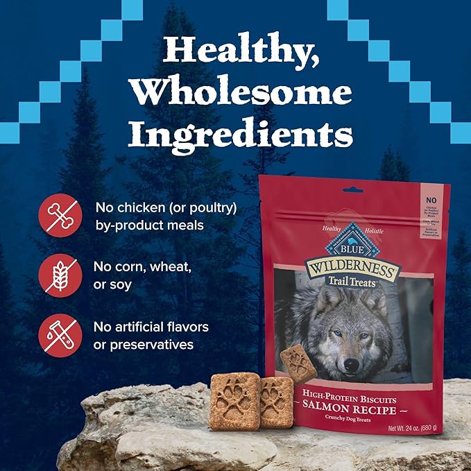 Blue Buffalo Wilderness Trail Treats Crunchy Dog Biscuits, Grain-Free and High-Protein Dog Treats Made with Natural Ingredients, Salmon Recipe 24-oz Bag - PAWPICO