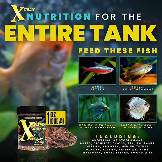 Xtreme Community Crave Flake - Krill & Spirulina Blend for Vibrant Colors, Immune Support and Digestive Health, Tropical & Freshwater Fish Nutrition – Premium Community Aquarium Food (1oz) XtremeAquaticFoods