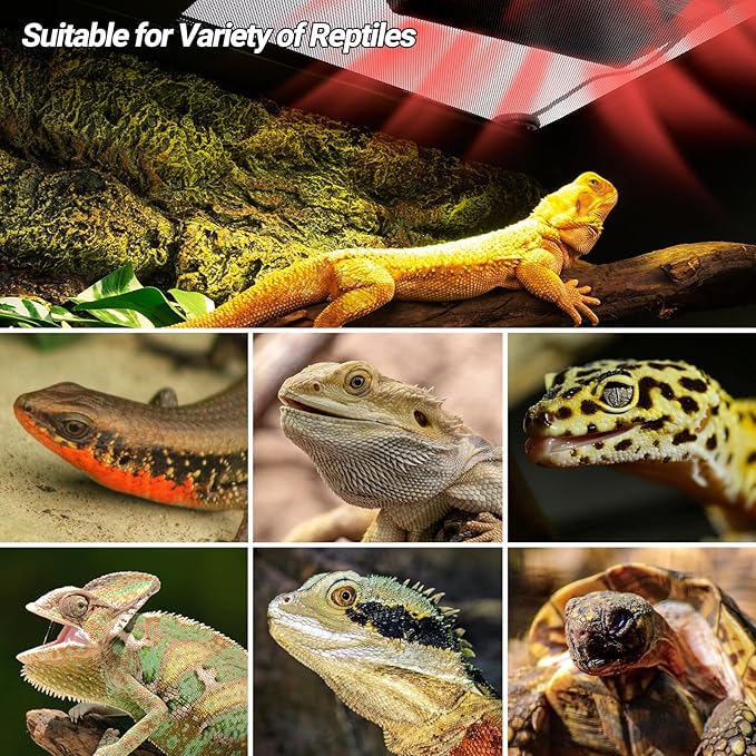 REPTI ZOO Reptile Heat Panel Adjustable Temperature Reptile Heating Plate, Non-Light Heating Solution with Expanded Heating Range for Hermit crabs/Leopard geckos/Turtles/Snakes/Bearded dragons/Lizards REPTIZOO