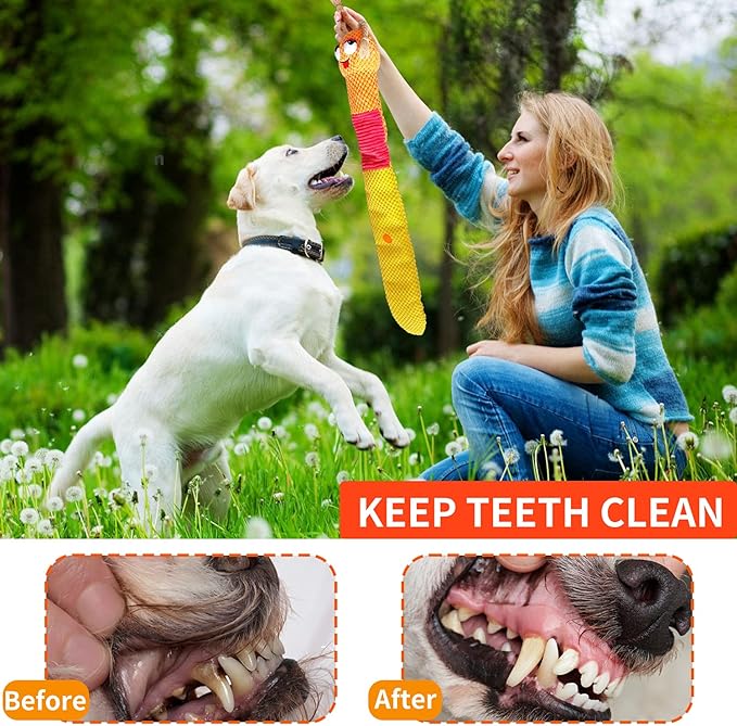 Dog Enrichment Toys - Dog Puzzles Squeaky Treat Dispensing Crinkle Plush Snuffle Toys - Dog Treat Toy for Small Medium Large Dogs Tough Funny Soft Puppy Toy, Snail - PAWPICO