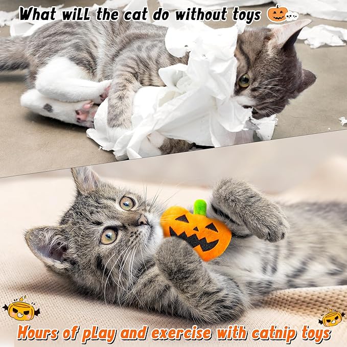 MALLMALL6 Catnip Toys for Cat - 5Pcs Halloween Pumpkin Jack O Lantern Catmint Interactive Cat Toy for Indoor Cats, Soft Plush Orange Cat Supplies, Kitten Teething Chew Toy Set, Pet Gifts for Cat Lover - PAWPICO
