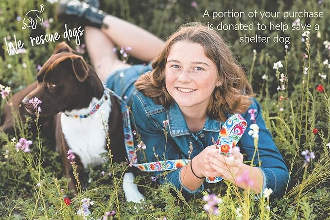 Lucky Love Dog - Easy Click Buckle Dog Collar with Leash Set Combo, Durable & Comfortable Collar for Male & Female Dogs, Pet Collar for Small to Large Dogs, Secure Fit - Ladybird Combo, X-Small LuckyLoveDog