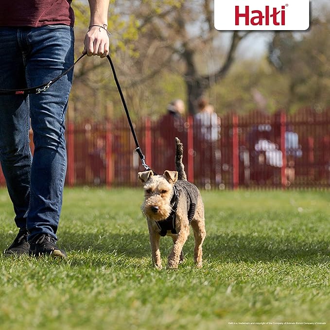 HALTI No Pull Harness - To Stop Your Dog Pulling on the Leash. Adjustable, Lightweight and Easy to Use. Reflective Dog Training Harness for Small Dogs (Size S) CompanyofAnimals