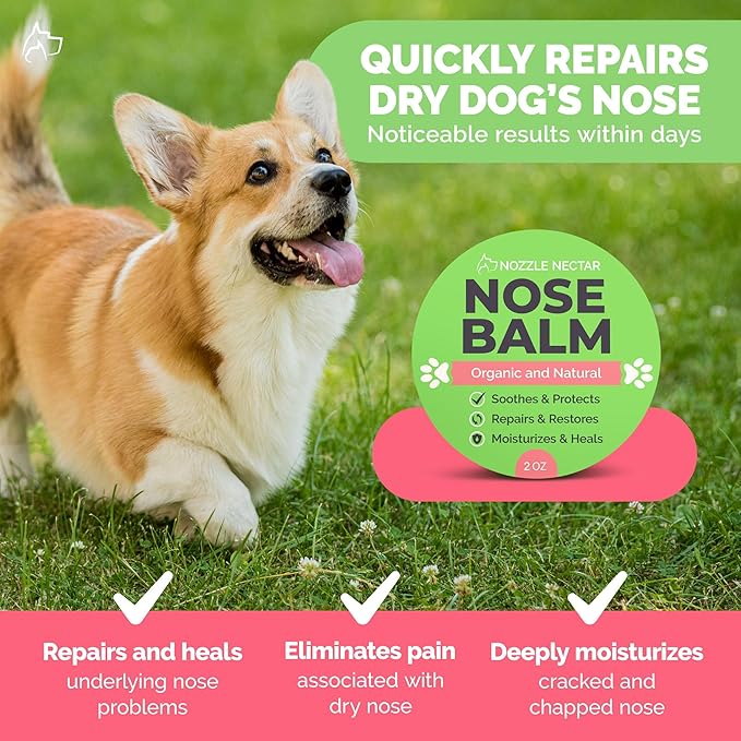 Dog Nose Balm - 100% Organic & Natural Nose Moisturizer and Healing Cream Butter - Dog Dry Nose Treatment and Moisturizer - Heals, Repairs & Protects Chapped, Damaged & Rough Noses QualityPet
