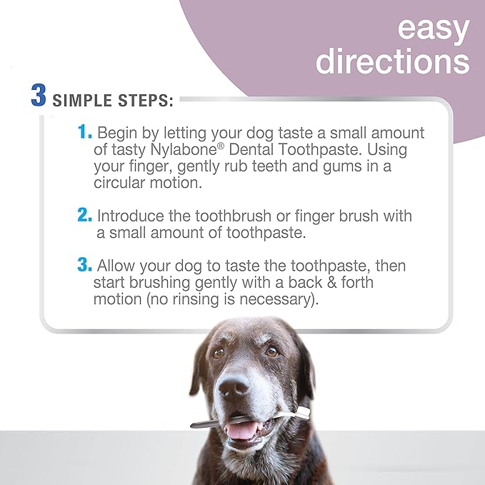 Nylabone Advanced Oral Care Senior Dog Dental Kit with Cushiony Soft-Bristle Toothbrush Senior 3 Count Nylabone