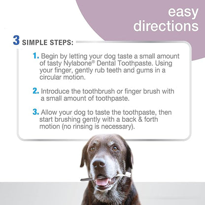 Nylabone Advanced Oral Care Senior Dog Dental Kit with Cushiony Soft-Bristle Toothbrush Senior 3 Count Nylabone
