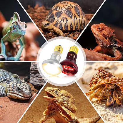 REPTIZOO 75W Reptile Heat Lamp Bulb, 2PCS Day & Night Basking Spot Light Combo Pack Includes Infrared Heat Lamp and UVA Daylight Heating Lamp Basking Light REPTIZOO