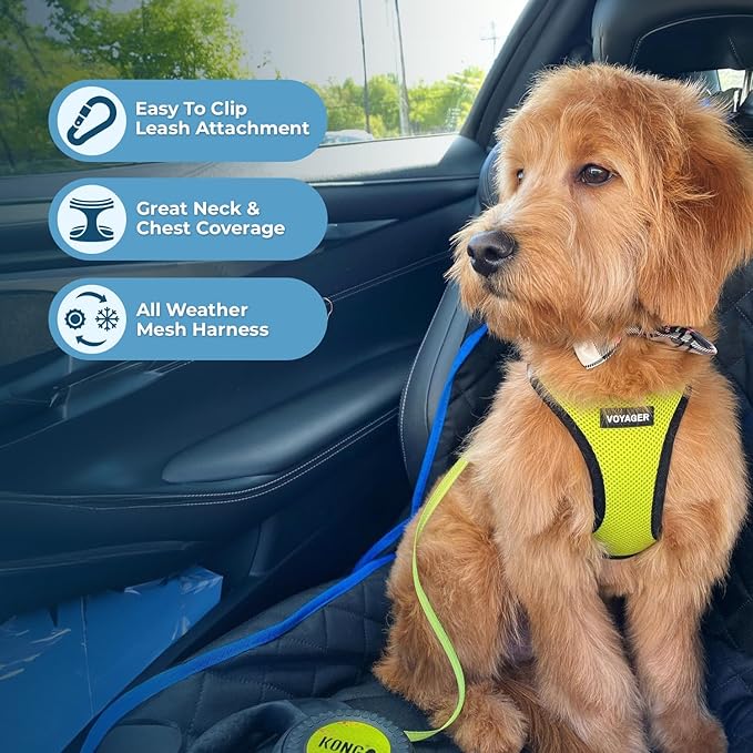 Voyager Step-in Air Dog Harness - All Weather Mesh, Reflective, No Pull Harness for Small, Medium Dogs, Cats - Secure with Hook & Loop Fastener, Buckle, Double D-Rings - Lime Green/Black Trim, XS BestPetSuppliesLLC