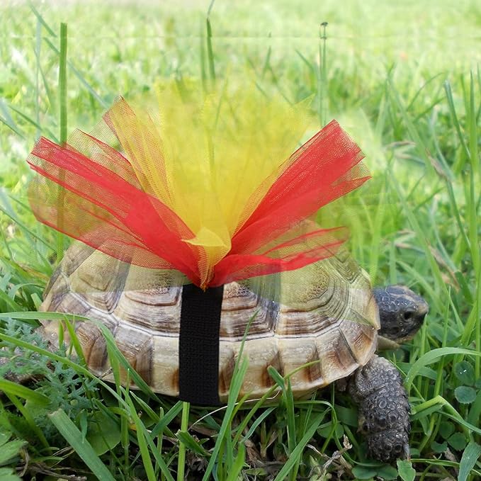 Tortoise Tutu Costume for Pet Tortoise Turtle Decoration Creative Gift tinkare