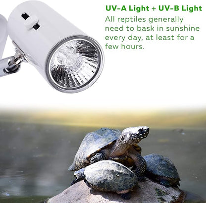 CALPALMY 4-Pack 50W UVA+UVB Bulbs | Heat and Light for Reptiles and Amphibian Tanks, Terrariums and Cages | Works with Various Lamp Fixtures CalPalmy