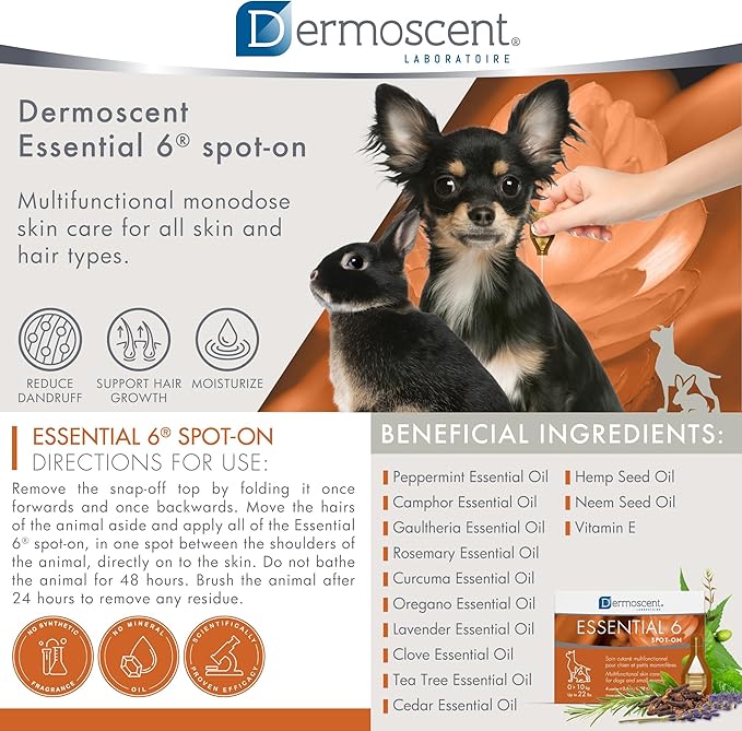 Dermoscent Essential 6 spot-on - Dog Skin Care for Dandruff & Allergy Relief with Vitamin E Oil - Anti Itch for Dogs - Dog & Small Mammals 0-10 kg - 4 Pipettes of 0.6 ml Dermoscent