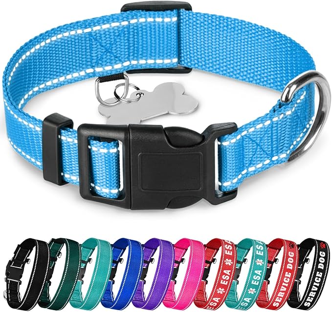 TECEUM Reflective Pet Collar – Sky Blue – L – Basic Nylon Dog Collar – Quick Release Buckle – Fits Small, Medium and Large Dogs, Puppies, Cats – ESA & Service Dog Options TECEUM