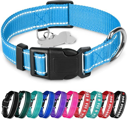 TECEUM Reflective Pet Collar – Sky Blue – L – Basic Nylon Dog Collar – Quick Release Buckle – Fits Small, Medium and Large Dogs, Puppies, Cats – ESA & Service Dog Options TECEUM