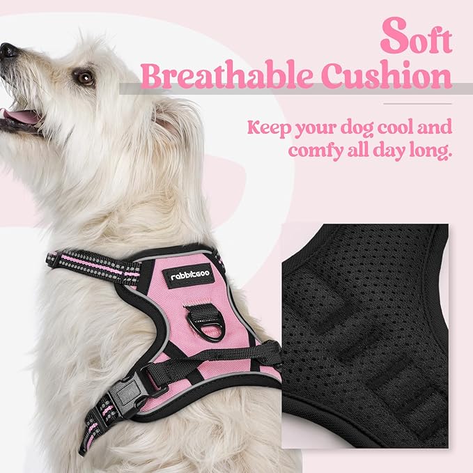 rabbitgoo Dog Harness No Pull with 2 Leash Clips, Adjustable Soft Padded, Reflective Oxford No Choke Pet Vest with Easy Control Handle for Puppy, Pink, XS rabbitgoo