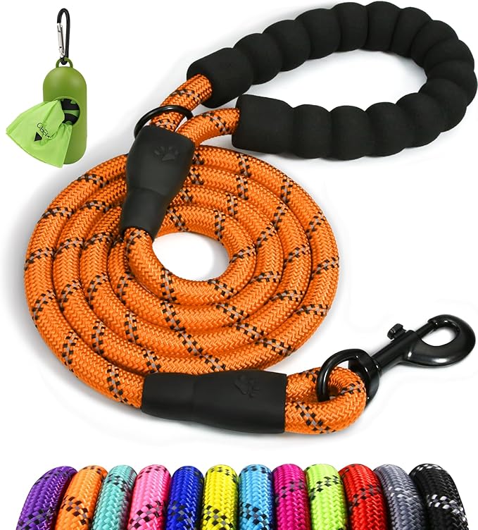Taglory Rope Dog Leash 5 FT with Comfortable Padded Handle, Highly Reflective Threads Leash for Small Dogs, 3/8 inch, Orange Taglory