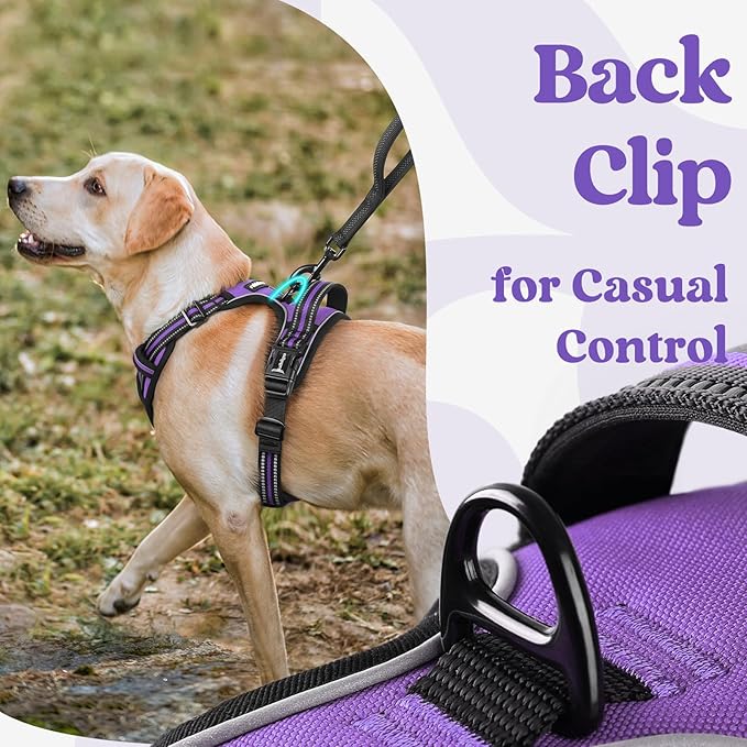rabbitgoo Dog Harness Medium Sized, No Pull Pet Harness with 3 Buckles, Adjustable Soft Padded Pooch Vest with Instant Control Handle, Easy Walking Reflective Pet Vest for Medium Dogs, Purple, M - PAWPICO