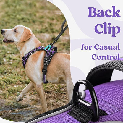 rabbitgoo Dog Harness Medium Sized, No Pull Pet Harness with 3 Buckles, Adjustable Soft Padded Pooch Vest with Instant Control Handle, Easy Walking Reflective Pet Vest for Medium Dogs, Purple, M - PAWPICO