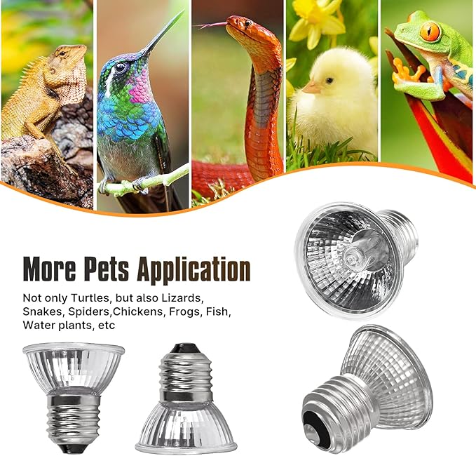 Reptile Heat Lamp Bulbs 4-pack (25W*2/50W*2), Amphibian Basking Light Bulb,Reptile Daylight Bulb, for Turtle,Bearded Dragon,Lizard,Works with Various Lamp Fixtures DTZYServiceforYourLife