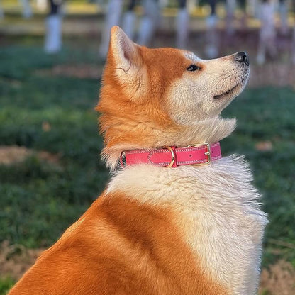 Dog Collar,Genuine Leather Dog Collar,Heavy Duty Dog Collar,Valentines Dog Collar for Small Dog, Medium Dog,Large Dog and Extra Large Dog (M: 1" Wide for 15.2"-19.2" Neck,Dual Stitch - Pink) DAIHAQIKO