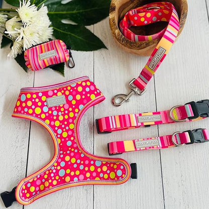 Lucky Love Dog, Colorful Stripes Dog Collar and Leash Set, Yellow, Pink, Blue Color Dog Collar and Leash, Cute Dog Combo Set for Female Dogs - (Extra Small, Molly Combo) LuckyLoveDog