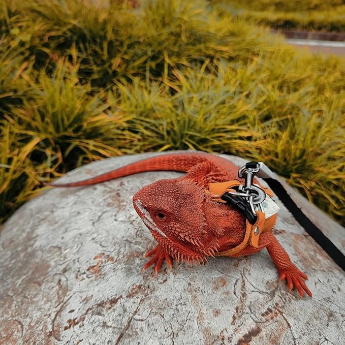 3 Pack Bearded Dragon Harness and Leash Set - Adjustable Soft Leather Lizard Harness with Retractable Leash Small Animal Traction Rope Walking Vest Accessories for Reptile Squirrel Rat (3 Pack) SEZDEKI