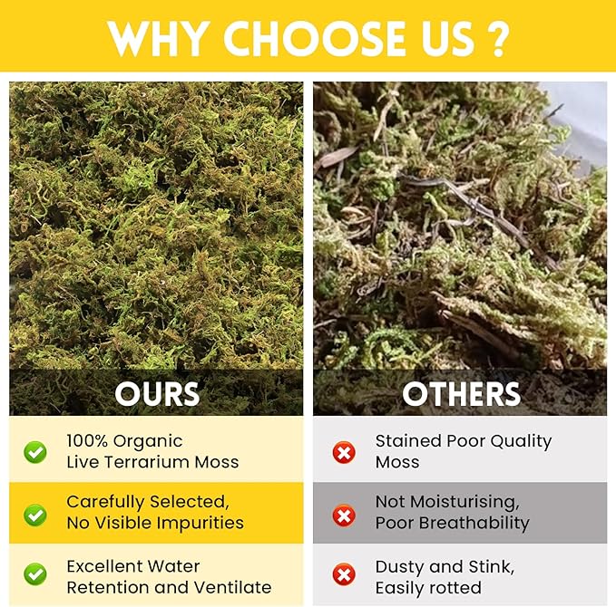 Riare 2.6LB Premium Sphagnum Moss for Reptiles- 100QT Natural Live Moss Reptile Moss Bedding for Terrarium, Hatching, Forest Sphagnum Moss Reptile Substrate for Snakes, Gecko, Turtles, Frogs, Leopard Riare