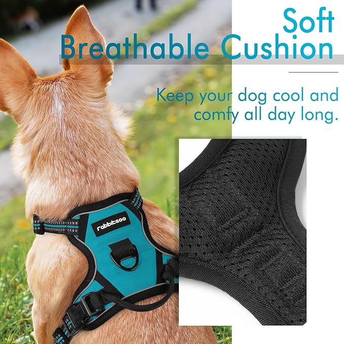 rabbitgoo Dog Harness, No-Pull Pet Harness with 2 Leash Clips, Adjustable Soft Padded Dog Vest, Reflective No-Choke Pet Oxford Vest with Easy Control Handle for Large Dogs, Teal, X-Small - PAWPICO
