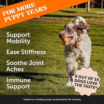 Pet Honesty Hip & Joint Turmeric Health - Joint Supplement for Dogs, Omega-3 Fish Oil, Turmeric Support Joint Health, Ease Stiffness - Advanced Pet Joint Support and Mobility - 90 Ct (Pumpkin) PetHonesty
