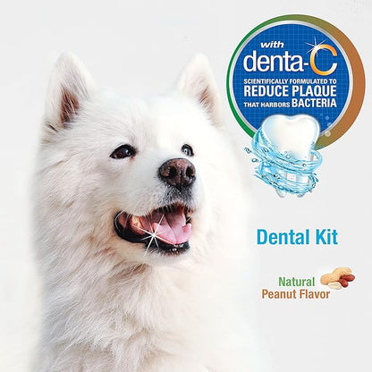 Nylabone Advanced Oral Care Natural Dog Dental Kit Peanut Flavor 2.5 oz. Nylabone