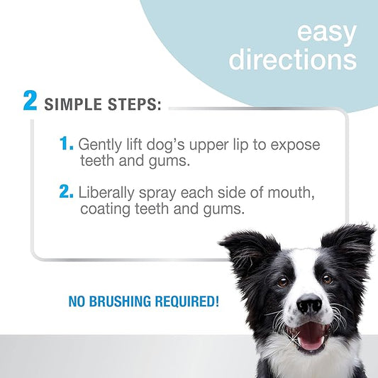 Nylabone Advanced Oral Care Dog Dental Spray - Liquid Tartar Remover - Dog Breath Freshener & Teeth-Cleaning Spray (4 oz.) Nylabone
