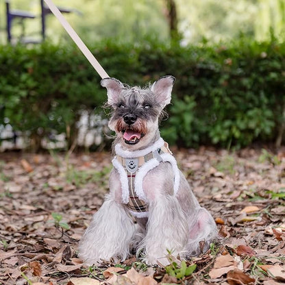 EXPAWLORER Fleece Lined Step-in Dog Harness - Soft Plush Padded Puppy Harness and Leash Set with Adjustable Dog Collar, No Pull Escape Proof Suede Dog Vest Harness for Small Dogs, Khaki S EXPAWLORER