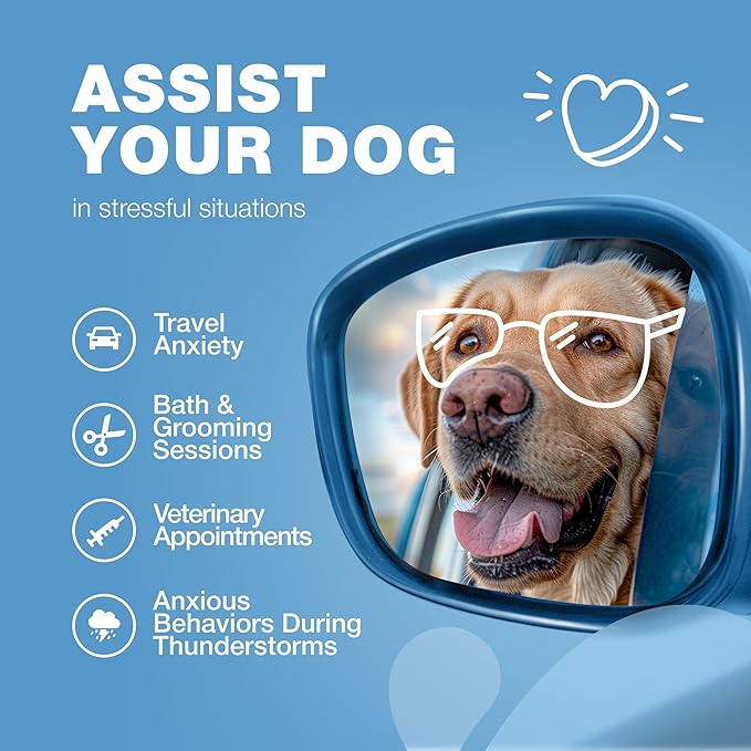 Hemp Calming Chews for Dogs - Dog Calming Treats - Anxiety Relief for Dogs with L-Theanine, Chamomile Extract, Valerian Root - Dog Anxiety Relief for Travel, Vet Visits, Thunderstorms, Nail Trimming CHEWIA
