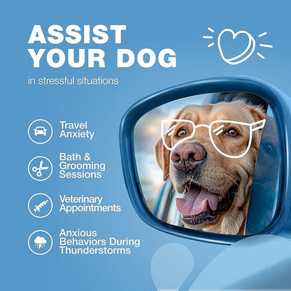 Hemp Calming Chews for Dogs - Dog Calming Treats - Anxiety Relief for Dogs with L-Theanine, Chamomile Extract, Valerian Root - Dog Anxiety Relief for Travel, Vet Visits, Thunderstorms, Nail Trimming CHEWIA