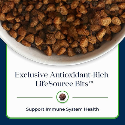 Blue Buffalo Basics Grain-Free Dry Dog Food for Adult Dogs, Limited Ingredient Diet, Lamb Recipe, 22-lb. Bag - PAWPICO