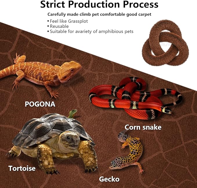 2 Pack Reptile Carpet Desert Reptile Mat & Reversible Substrate, Terrarium Liner Bedding, for Lizard,Chameleon,Gecko,Snake,Ceratophrys with Tweezers Feeding Tong (20 Gallon(30x12in)) REP+BUDDY