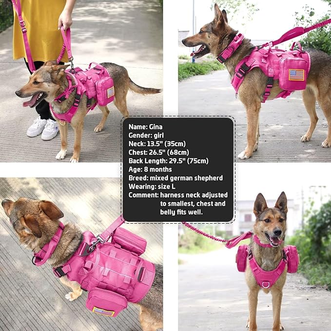 Forestpaw Pink Tactical Dog Harness for Large Dogs,Tactical Dog Collar with Bungee Leash Set,No Pull Military Dog Harness for Dog Walking Training,Adjustable for Medium Large Dogs,S Forestpaw