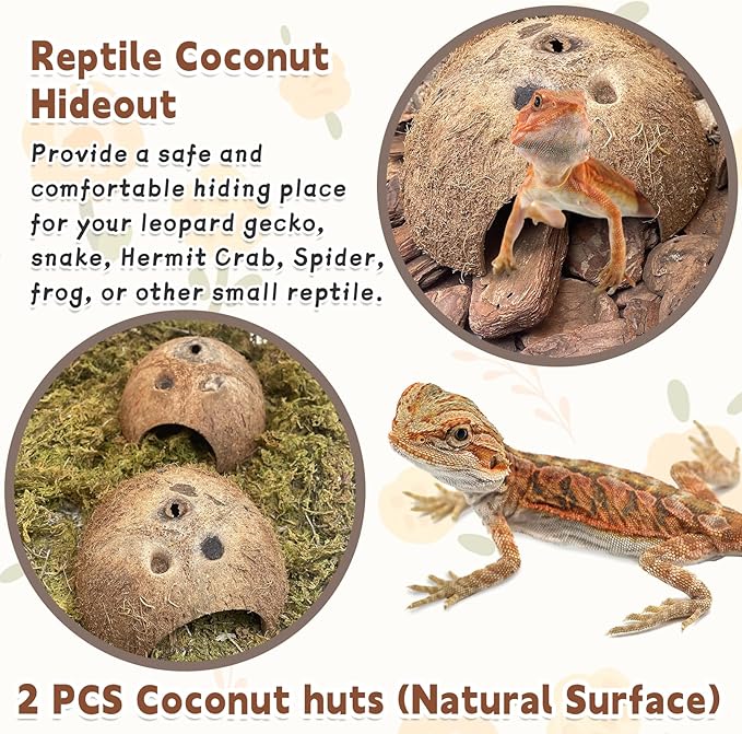 PINVNBY Natural Coconut Reptile Hideouts Lizard, Coco Hut Hermit Crab Hut Aquarium Fish Hide Cave for Small Reptile Crested Gecko Leopard Gecko Spider Snail Climber Toys (2 PCS Natural Surface) PINVNBY