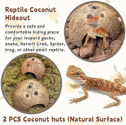 PINVNBY Natural Coconut Reptile Hideouts Lizard, Coco Hut Hermit Crab Hut Aquarium Fish Hide Cave for Small Reptile Crested Gecko Leopard Gecko Spider Snail Climber Toys (2 PCS Natural Surface) PINVNBY
