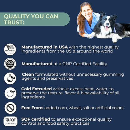 Advanced Hip & Joint Supplements for Dogs, USA Made with Glucosamine & Green Lipped Muscle for Mobility Health, 60ct Dogletics