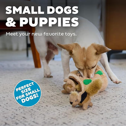 Outward Hound Squeakin' Squirrels Plush Replacement Dog Toys - 3 Pack - PAWPICO