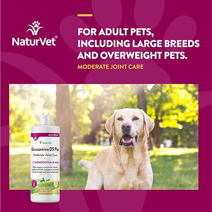 NaturVet Glucosamine DS Plus Hip & Joint Support Liquid Pet Supplement – Level 2 Moderate Care for Dogs & Cats – Includes Glucosamine, MSM, Chondroitin – 16 Oz NaturVet