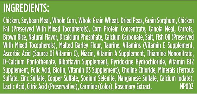 Rachael Ray Nutrish Bright Puppy Premium Natural Dry Dog Food, Real Chicken & Brown Rice Recipe, 6 Pounds (Packaging May Vary) - PAWPICO