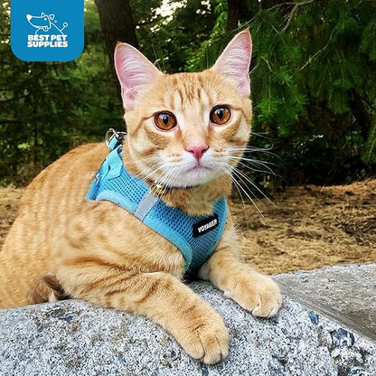Voyager Step-in Air Dog Harness - All Weather Mesh, Reflective, No Pull Harness for Small, Medium Dogs, Cats - Secure with Hook & Loop Fastener, Buckle, Double D-Rings - Baby Blue, S BestPetSuppliesLLC
