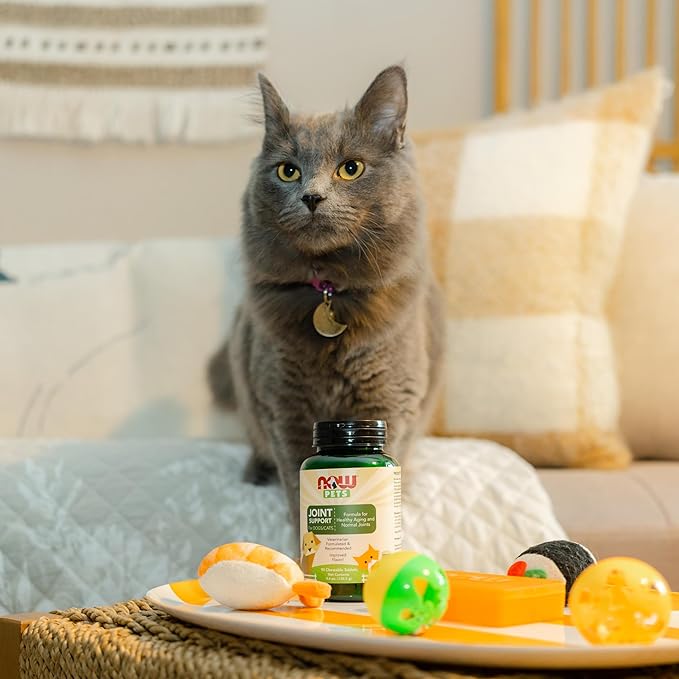 NOW Foods Pet Health, Joint Support Supplement, Formulated for Cats & Dogs, NASC Certified, 90 Chewable Tablets NOW