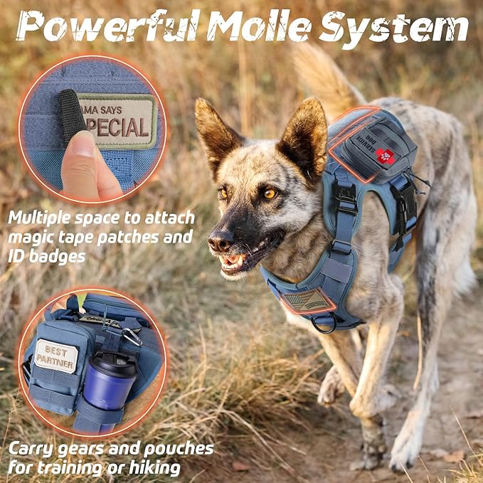 rabbitgoo Tactical Dog Harness for Large, Heavy Duty Pet Harness with Handle, No-Pull Service Vest Large Breed, Adjustable Military Dog Vest for Training Hunting Walking, Blue, L rabbitgoo