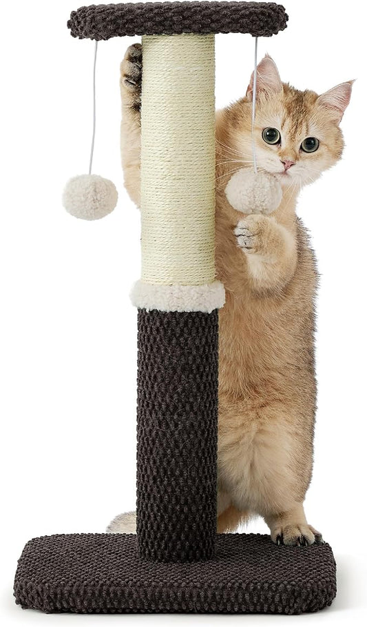 Lesure Cat Scratching Post for Indoor Cats - Highly Resistant Carpet Scratch Posts, Premium Sisal Rope Scratch Posts for Kittens, Sturdy Small Cat Scratch Pole with Hanging Ball, Brown(22.5 inch) - PAWPICO