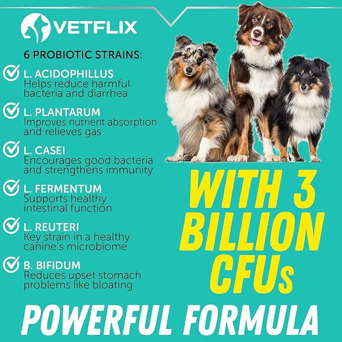 Premium Probiotics for Dogs & Cats - Digestive Enzymes & Prebiotics Supplement - Helps to Relieve Diarrhea, Vomiting, Upset Stomach, Gas, Constipation & Bad Breath - Supports Healthy Digestive System Vetflix